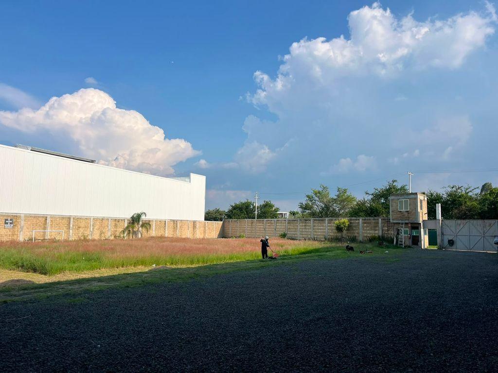 Foto de la galeria de imagenes