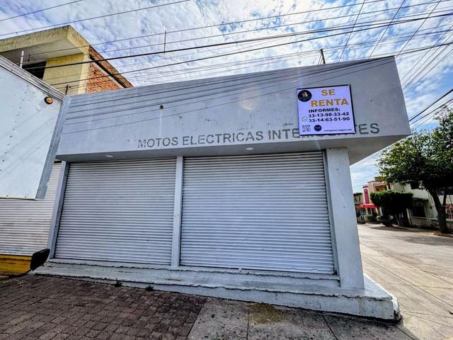 Foto de la galeria de imagenes