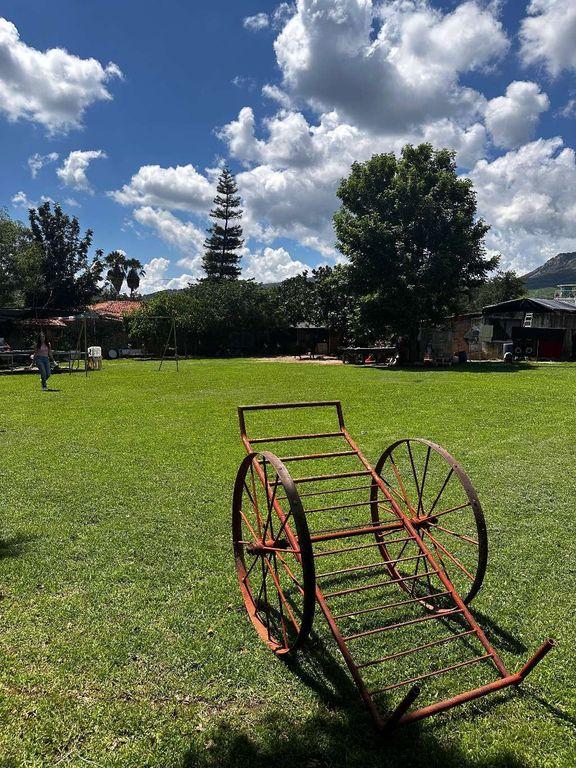Foto de la galeria de imagenes