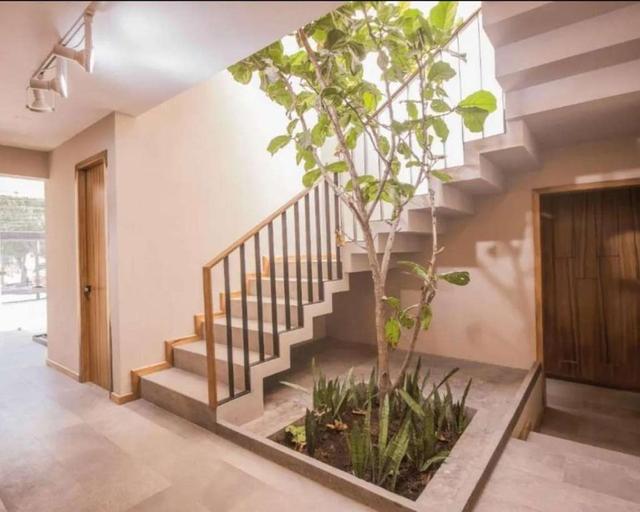Foto de la galeria de imagenes