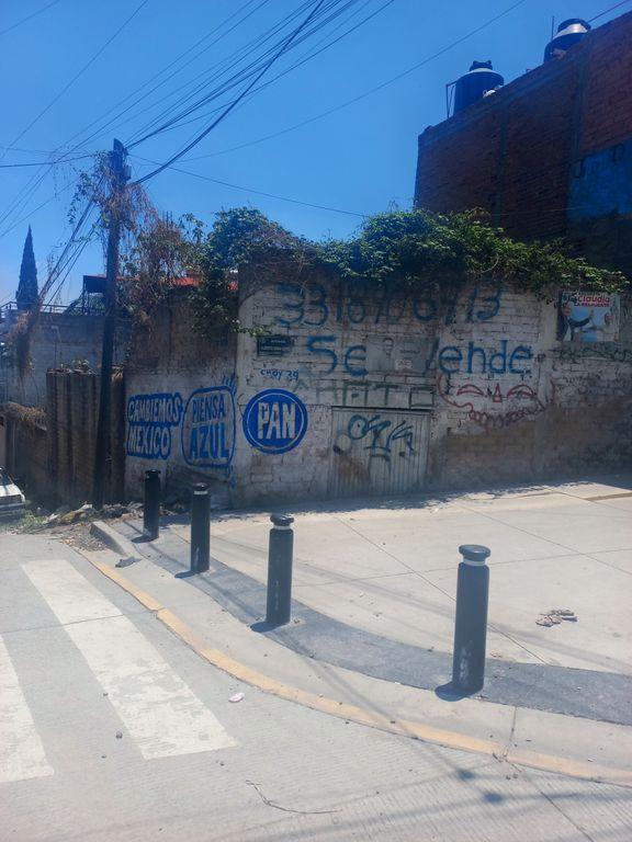Foto de la galeria de imagenes