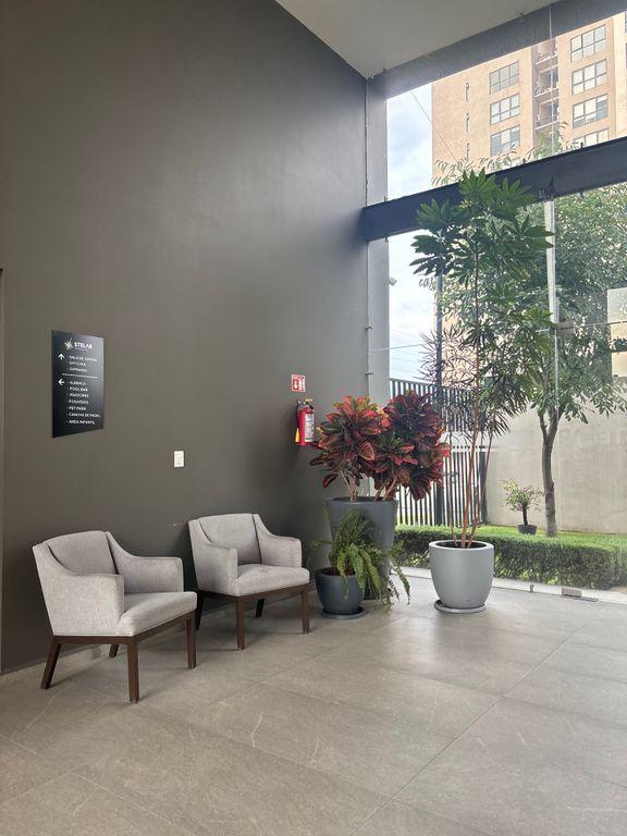 Foto de la galeria de imagenes